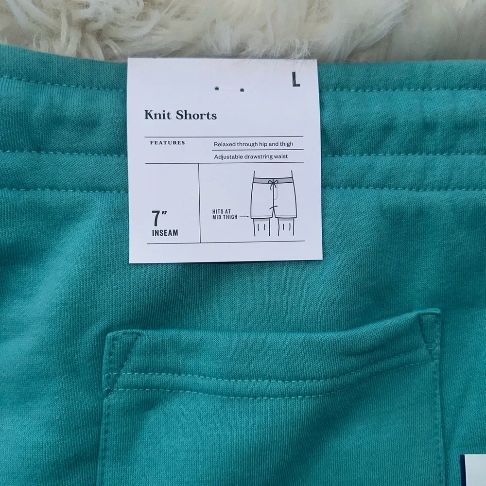 Goodfellow & Co Men's Teal Shorts Size L - Picture 5 of 8